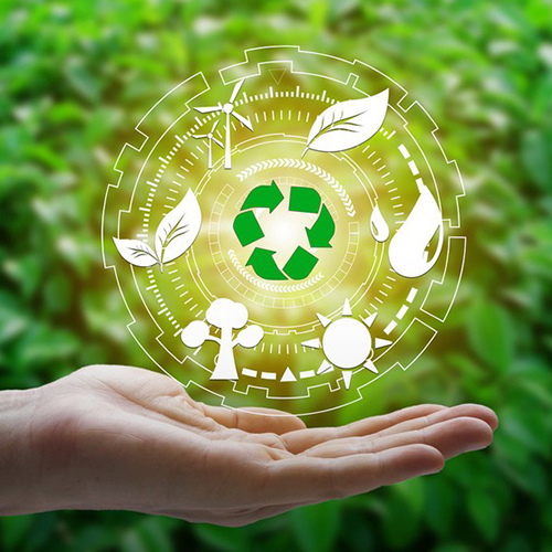 Green Consultancy