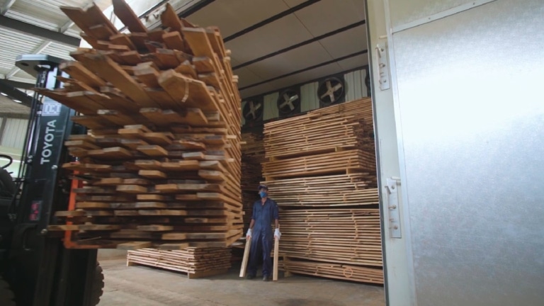 ICC TIMBER Factory 2